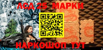 гашик Аргун