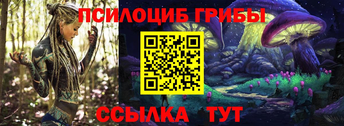 наркошоп  Вход с VPN  Белореченск  Псилоцибиновые грибы Magic Shrooms 